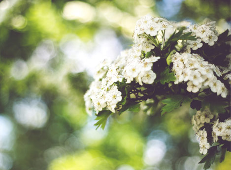 Free Bootstrap Creative Theme - Start Bootstrap